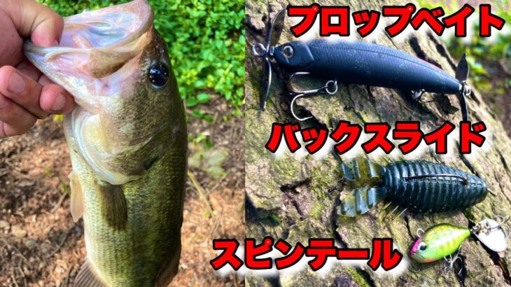 ブレード付きルアーでスレバスを狙ったら簡単に釣れる【スピンテール】【バス釣り】