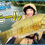 桧原湖でスモールマウスバス爆釣＃バス釣り