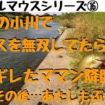 【川スモールマウスバス釣り　シリーズ⑯　群馬編】高崎の小川で子バスを無双してたら、ママンにぶちギレられた動画