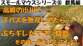 【川スモールマウスバス釣り　シリーズ⑯　群馬編】高崎の小川で子バスを無双してたら、ママンにぶちギレられた動画