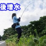 【バス釣り】釣りガール？がフロッグ縛りで・・・！