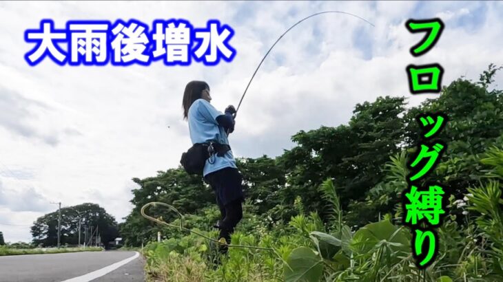 【バス釣り】釣りガール？がフロッグ縛りで・・・！