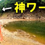 とにかく釣りたかったらこのルアー！！【初心者必見】