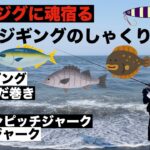 初心者必見！なんでも釣れるショアジギングのしゃくり方