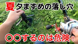 【バス釣り】トップで釣りたくなる夏の夕まずめの落とし穴！くれぐれもご注意を…ダッジ【レイドジャパン】