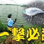 【五三川】一撃必殺でデカバスを狙う！【バス釣り】