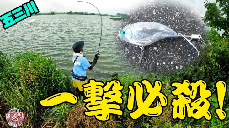 【五三川】一撃必殺でデカバスを狙う！【バス釣り】