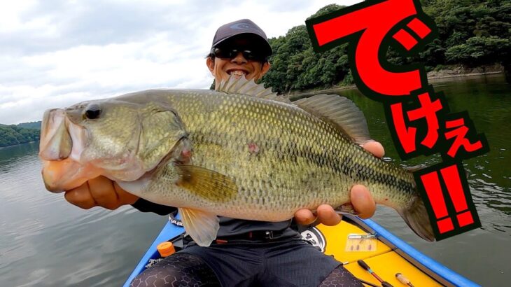 知らないとマジで大損！こんなデカバス連発する釣り方教えます！【夏休みバス釣り攻略】