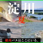 大阪の大都市、淀川でバス釣りしてみたら、、、