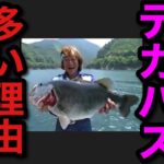 【村田基】池原ダムはなぜデカい個体が多いのか？その理由は●●です。【村田基切り抜き】