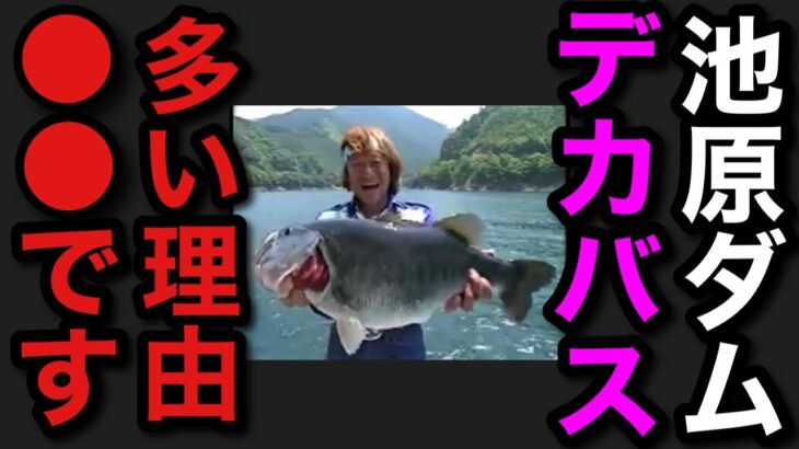 【村田基】池原ダムはなぜデカい個体が多いのか？その理由は●●です。【村田基切り抜き】