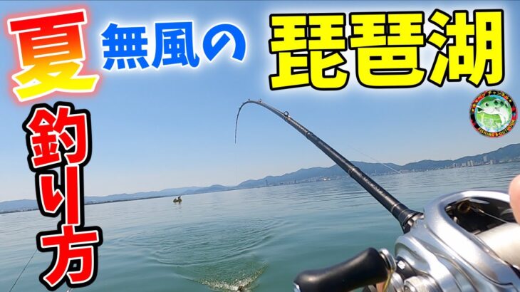 【バス釣り】夏の琵琶湖は朝と昼と釣り方を使い分ければ釣れる！(コラボ)