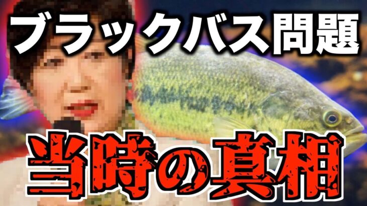 特定外来生物に指定されてしまったブラックバス【村岡昌憲/バス釣り】