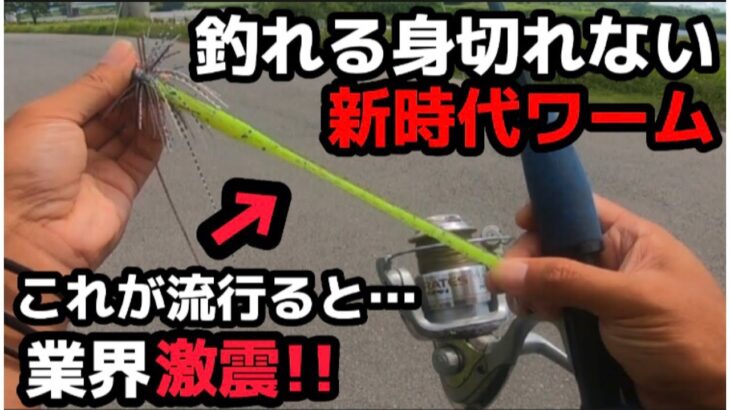 【フリーザによる】バス釣り攻略（ブラックバス ）（釣り）（バス釣り）（バス釣り攻略）