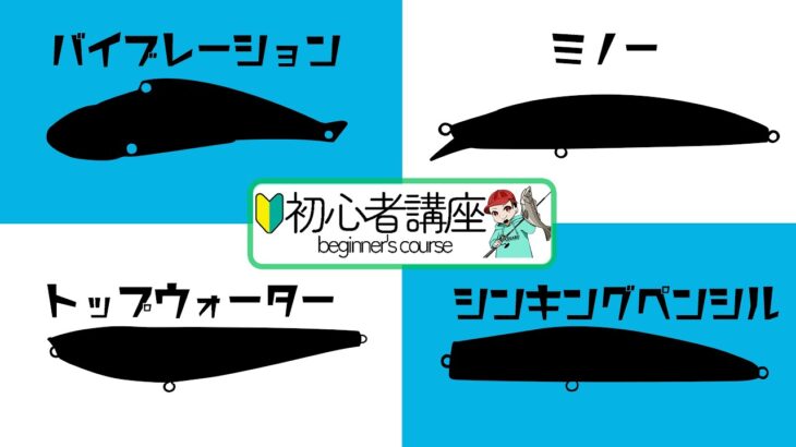 【初心者】シーバスルアーの種類と使い方について【講座】