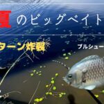 真夏のビッグベイト縛り！ギルパターンでデカバス捕獲【バス釣り】