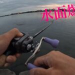 【バス釣り】トップの夏始まり❗️琵琶湖　南湖　瀬田川