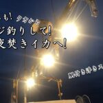 ウミック大輝丸で!アジ釣り後に!夜焚きイカ釣り!