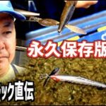 【バス釣り】永久保存版・ラインスラック直伝「プロペラの調整・修正方法」【セビレ】