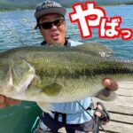 【バス釣り初心者必見】やばっっ!!このルアー釣れる!!