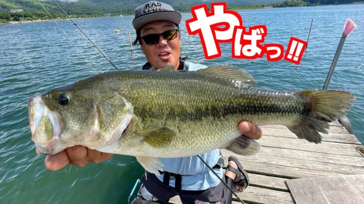 【バス釣り初心者必見】やばっっ!!このルアー釣れる!!