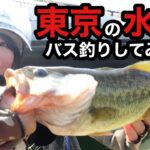 【釣りガール】東京都内で天然バスちゃんが釣れる所があった！