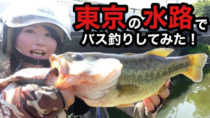 【釣りガール】東京都内で天然バスちゃんが釣れる所があった！