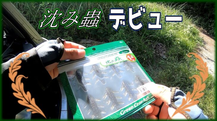 【沈み蟲】夏休みの自由研究【一誠】