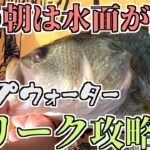 【バス釣り】夏の朝は水面が熱い！夏のトップウォーターゲーム！