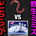 【村田基】バス釣りで市販のミミズと野生のミミズはどちらが釣れる？【村田基切り抜き】