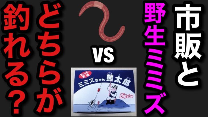 【村田基】バス釣りで市販のミミズと野生のミミズはどちらが釣れる？【村田基切り抜き】