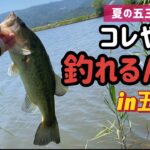 【バス釣り】五三川！コレ釣れますねー！！