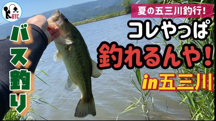 【バス釣り】五三川！コレ釣れますねー！！