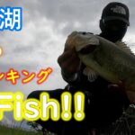 ウィードが生えたらクランクだ!!【琵琶湖バス釣り】