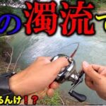 【バス釣り】釣りに行ける日が釣り日和じゃなくても楽しむ！激濁り&激流の時はこれ！