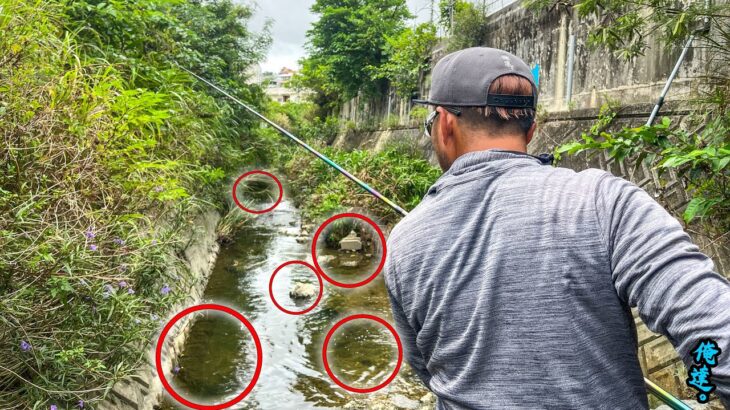 街中の小さな川に巨大なニョロニョロが…。