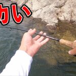 【バス釣り】久しぶりにあのルアー使ったら１時間でデカバスが連発しました！