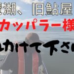 【琵琶湖、旧鮎屋】おかっぱらーへ。助けて・・・お願いします。。。
