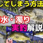 濁り/増水でも釣りたい人はコレやってみて下さい【スモールマウスバス】【初心者】【オススメリグ】【マックスセント】【ゲーリーヤマモト】