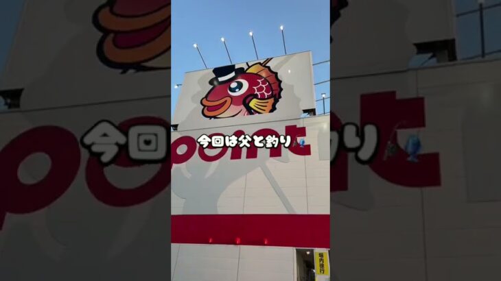 父とサビキ釣り