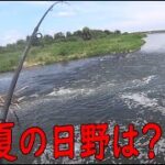 【多摩川バス釣り】去年は子バスうじゃうじゃの日野テトラ　今夏はどこにスモールがいる？