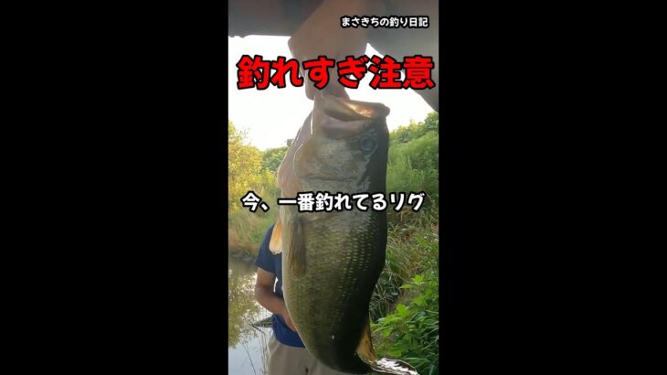 必見！今、釣れてるリグ。バス釣りで、ありそうでなかった合理的なリグ。手賀沼リグ（通称：まさきちリグ）。