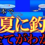 シーバス初心者の人におすすめ！夏に釣るには何から始める？