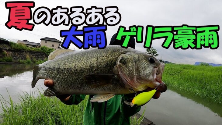 【バス釣り】大雨・ゲリラ豪雨翌日のルアーと場所選びのコツ【岡山/倉敷川】