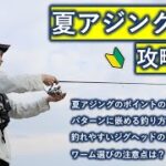 【夏アジングのよく釣れるポイント】初心者におすすめの釣り方、釣れるジグヘッドの重さやワームの選びの注意点を紹介！！