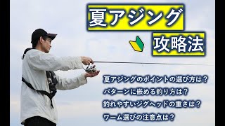 【夏アジングのよく釣れるポイント】初心者におすすめの釣り方、釣れるジグヘッドの重さやワームの選びの注意点を紹介！！