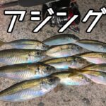 【アジング】ジグ単で数釣り！夏アジングの攻略方法を実釣解説