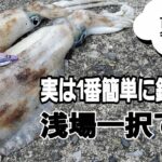 【エギング】夏でもイカは十分釣れる！エギであの魚が！貴重映像もアリ。大分エギング