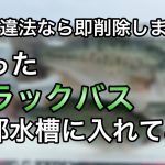 【バス釣り】釣ったブラックバスを全部水槽に入れて観察してみたら大迫力だった！