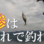 上級者は知ってるアジングのアクション！この釣り方でも鯵は釣れます！